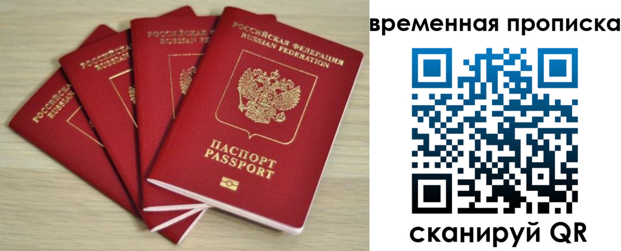 прописка для школы в Петушках
